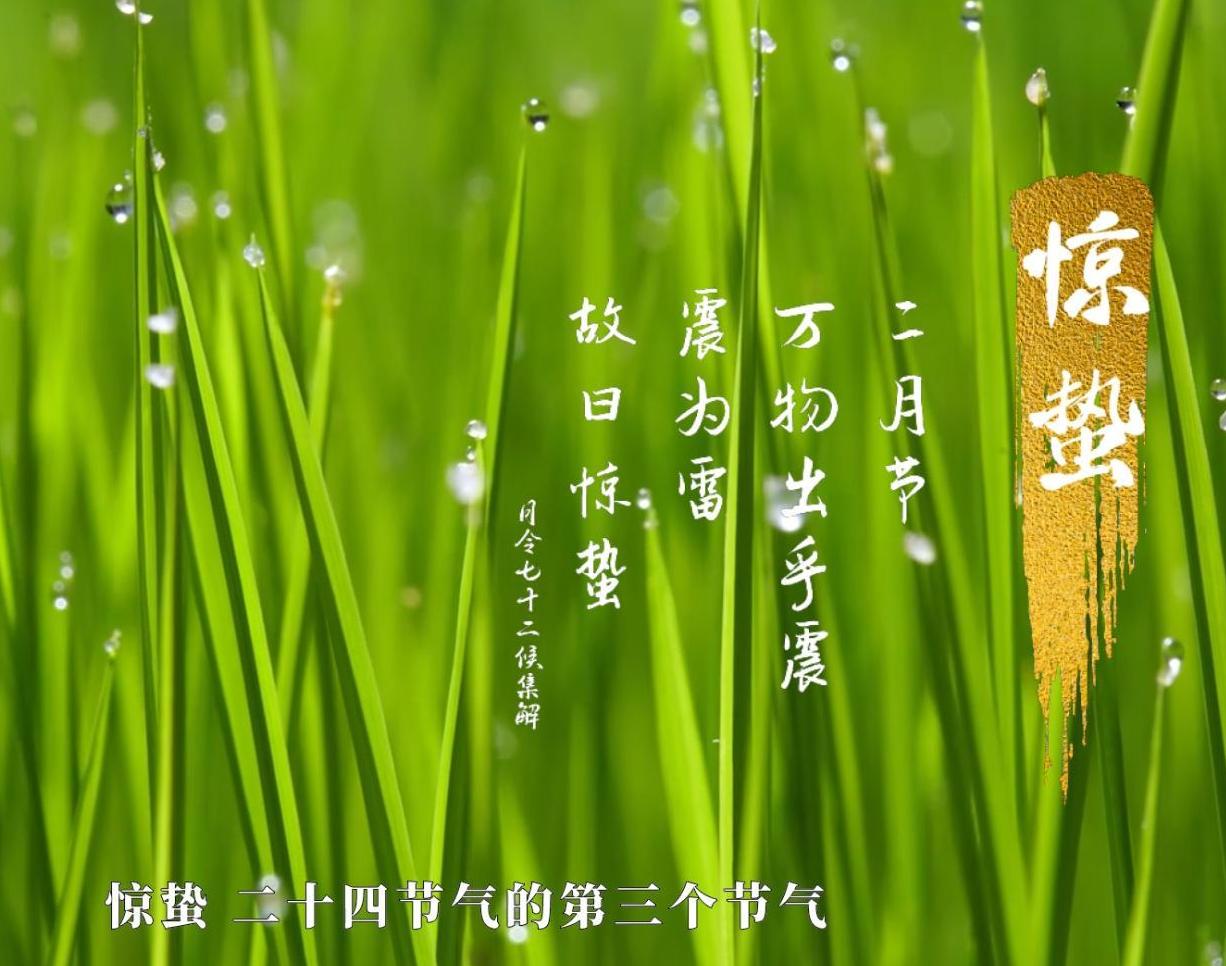《清风·传承 | 惊蛰：雷震“鼓”动万物苏》
