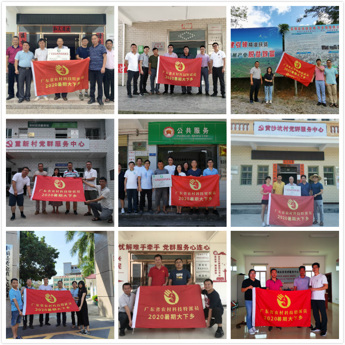 图片1.png